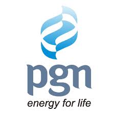 Perusahaan Gas Negara (PGN) Logo